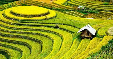 Video ngắn – Giải pháp truyền thông thông minh cho doanh nghiệp nhỏ_video kể về tín hiệu