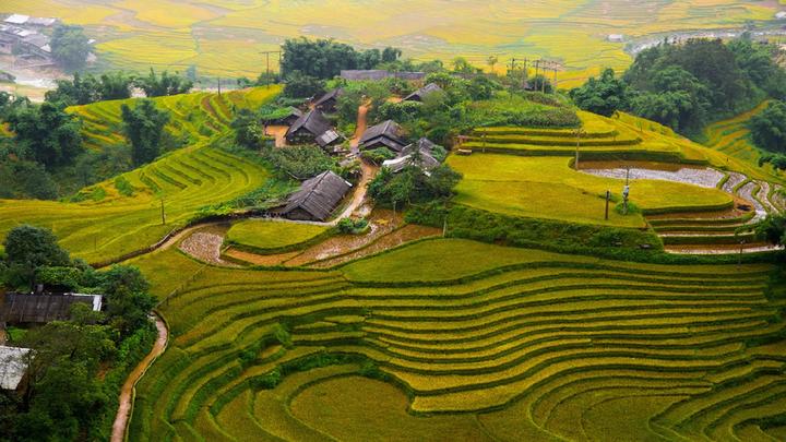 Xu hướng Jollibee Việt Nam mang “Vui: Hotspot Matrix tiết lộ bí quyết video viral
