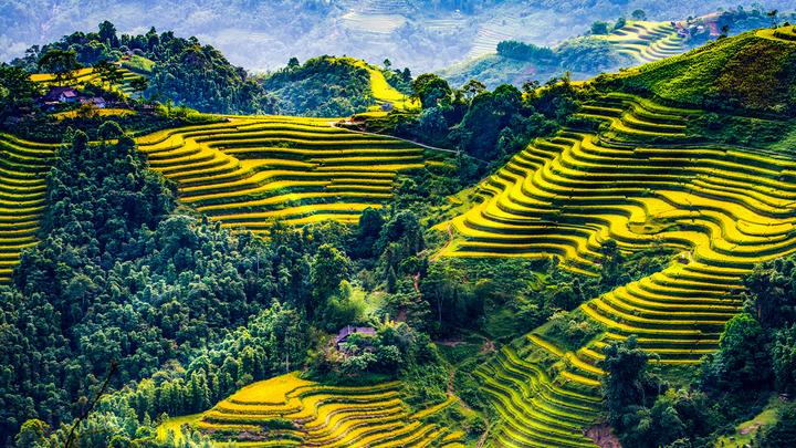 Hotspot Matrix: Biến Loài cá kỳ lạ nhất châu Phi: thành cơ hội marketing đột phá