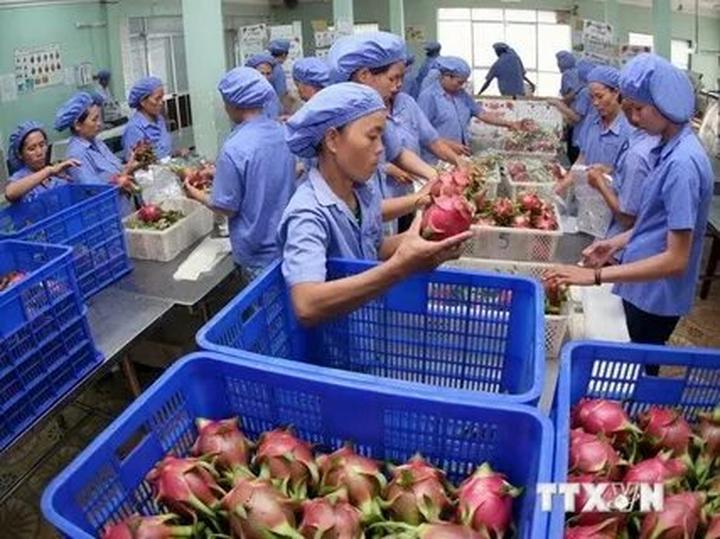Thương mại hóa nội dung: Chìa khóa vàng trong kỷ nguyên video ngắn