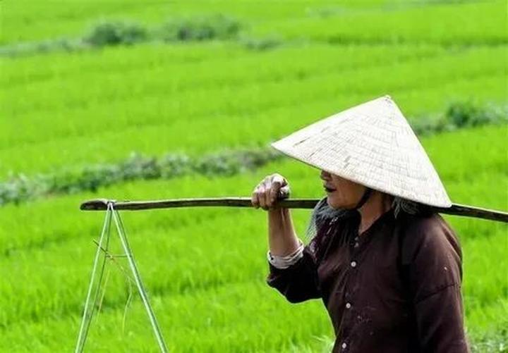Hotspot Matrix và Bé Ê Phở hot rần rần khắp MXH: